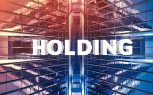 Was ist eine Holding: Arten, Strukturen und Steueroptimierung