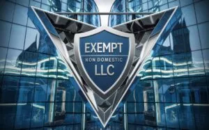 Eine Exempt-LLC (steuerfreie LLC) ohne physische Präsenz in den USA